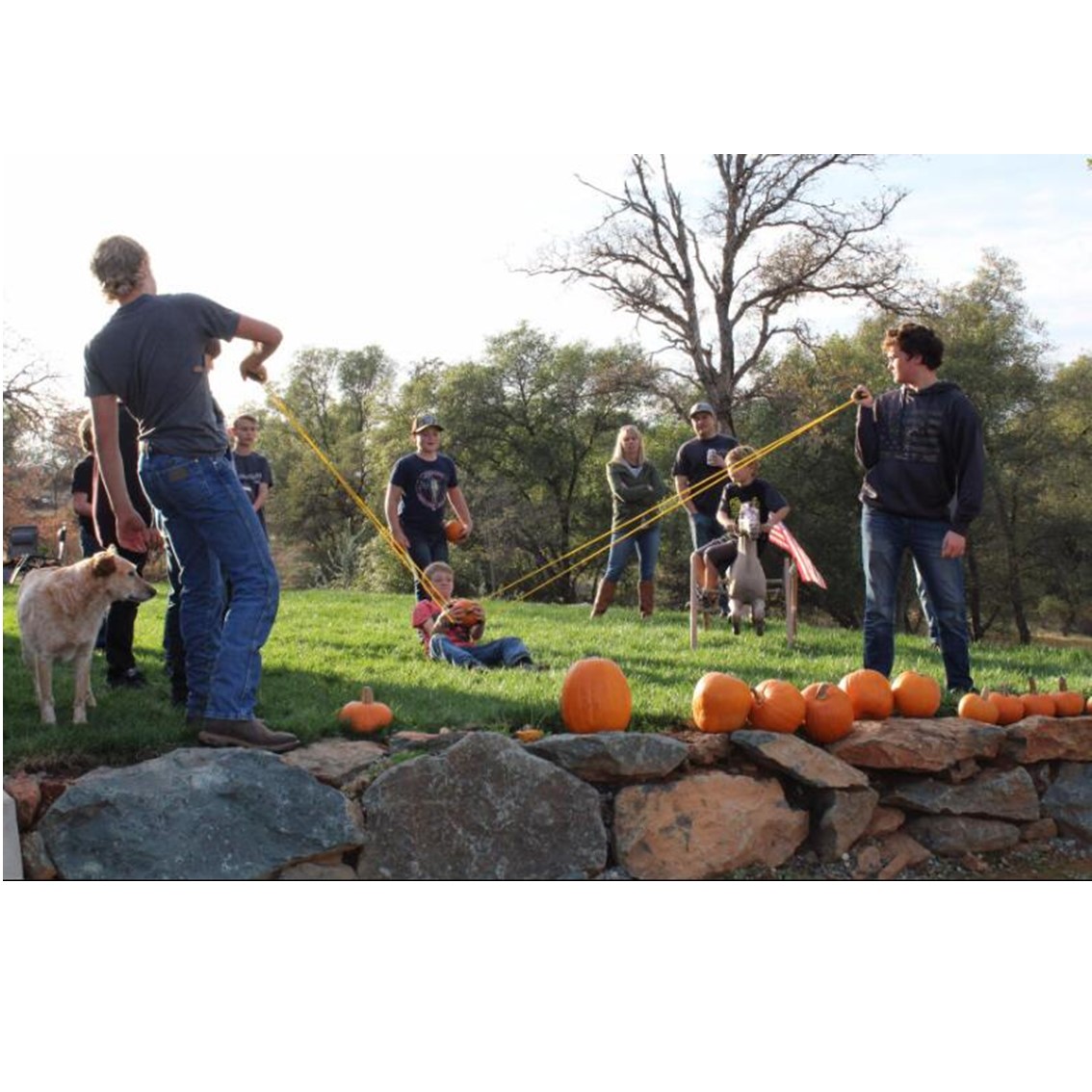 Water Balloon Launcher - Image 6